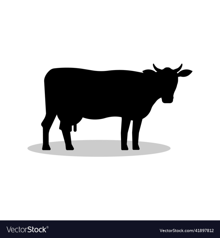vectorstock,Cow,Dairy,Silhouette,Isolated,White,Black,Background,Illustration,Animal,Mammal,Vector,Bull,Portrait,Art,Pig,Symbol,Village,Wild,Cattle,Farm,Outline,Icon,Milk,Cartoon,Nature,Abstract,Design,Drawing,Graphic,Livestock,Healthy,Rural,Set,Standing,View,Horns,Grass,Domestic,Farming,Agriculture,Image