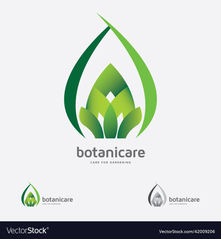 vectorstock,Green,Leaf,Botanical,Tree,Stylish,X,Logo,Nature,House,Comfort,Herbal,Harmony,Nursery,Landscape,Concept,Unique,Emblem,Letter,Home,Plant,Medicine,Science,Cross,Sweet,Spa,Yoga,Interior,Food,Supplement,Healing,Pure,Therapy,Organic,Treatment,Product,Flavor,Diet,Scientific,Traditional,Roots,Herb