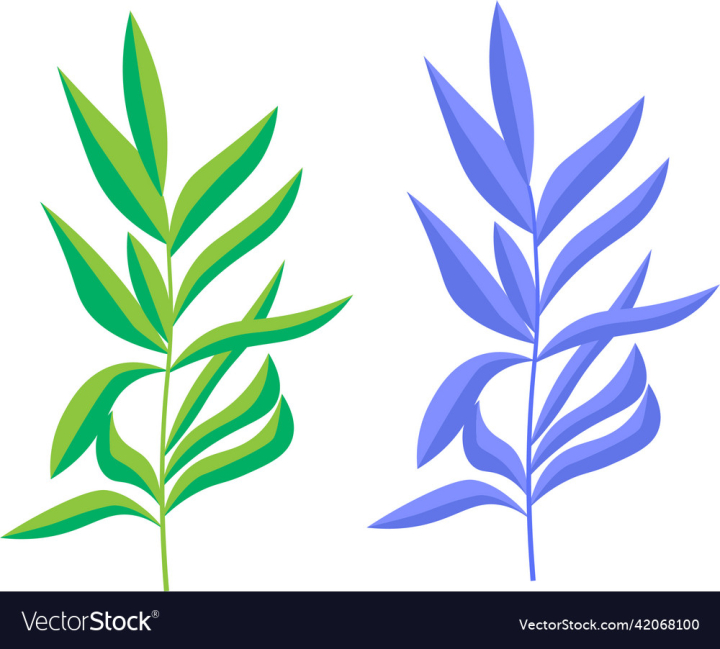vectorstock,Green,Leaf,Leaves,Tree,Forest,Symbol,Collection,Set,Isolated,Eco,Ecology,Herb,Herbal,Bio,Environmental,Vector,Fresh,Element,Organic,Spring,White,Garden,Nature,Plant,Illustration,Object,Decoration,Day,Vibrant,Season,Summer,Floral,Color,Different,Decorative,Stem,Closeup,Friendly,Natural,Realistic,Leave,Decor,Detailed,Seasonal