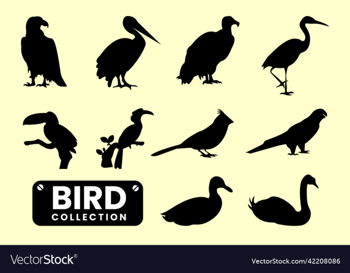 vectorstock,Bird,Silhouette,Collection,Isolated,Black,Icon,Sign,Pose,Symbol,Eagle,Standing,Swan,Duck,Poultry,Pelican,Toucan