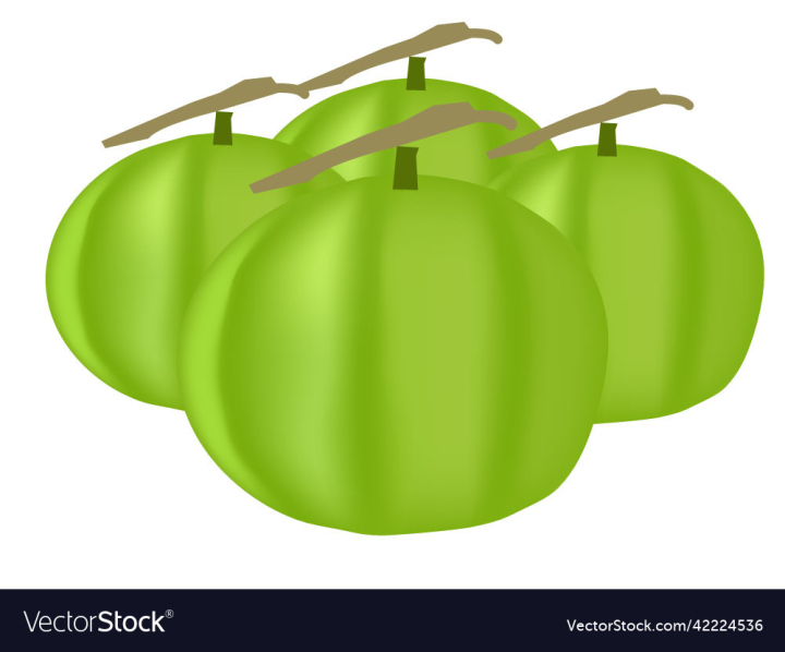 vectorstock,Green,Fruit,Isolated,Food,Apple,Red,Nature,Leaf,Fresh,Sweet,Healthy,Ripe,Vector,Illustration,White,Color,Object,Bright,Health,Freshness,Delicious,Nutrition,Diet,Vegetarian,Juicy