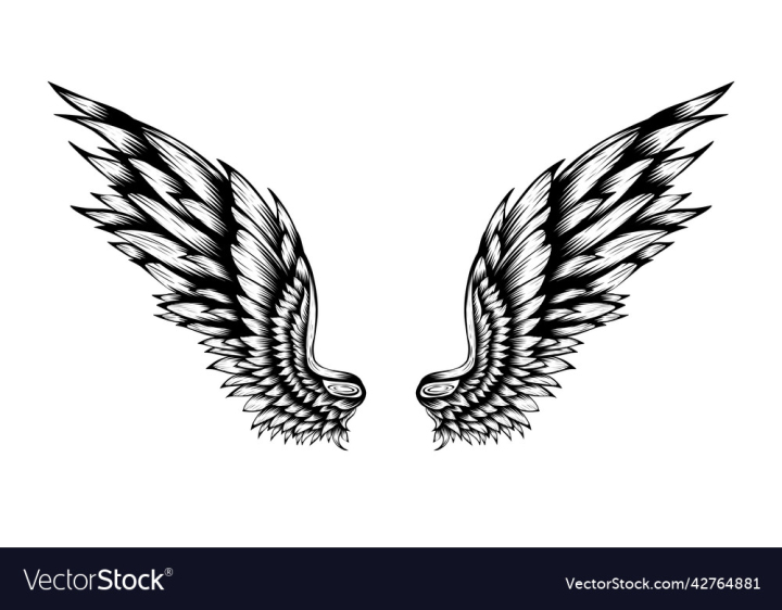 wings tattoo design  Clip Art Library