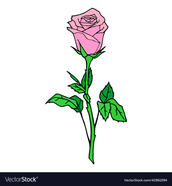 vectorstock,Pink,Rose,Floral,Background,Red,Flower,Garden,Petal,Summer,Spring,Florist,Purple,Season,Bud,Celebration,Bouquet,Alone,Large,Valentines,Beautiful,Botany,Botanical,Close Up,Flowers,Orange,Lilies,Wallpaper,Blossom,Nature,Leaf,Lilly,Beauty,Natural,Bright,Fresh,Bloom,Yellow,Flora,Romantic,Lily,Gardening,Colorful,Closeup,Blooming,Macro
