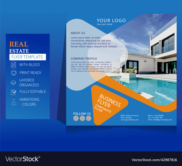 vectorstock,Business,Design,Flyer,Brochure,Vector,Image