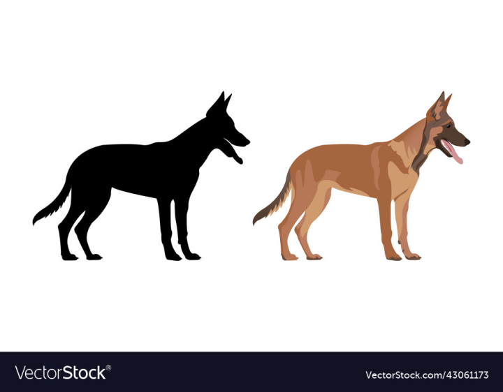 vectorstock,Silhouette,Dog,Shepherd,Belgian