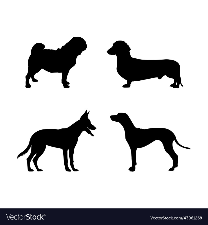 vectorstock,Silhouette,Dog,Set,Of,Dogs,Animal,Pug