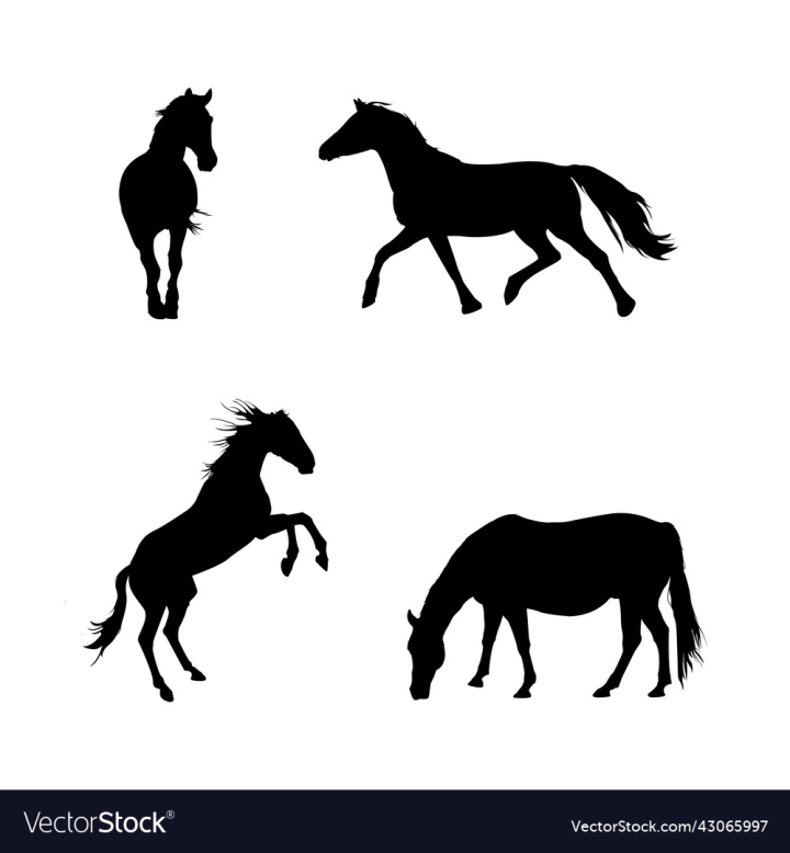 vectorstock,Silhouette,Horse,Illustration