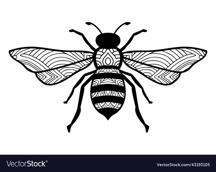vectorstock,Coloring,Page,Animal,Ornate,Insect,Book,Flying,Cute,Decoration,Bumblebee,Beekeeper,Vector,Art,In,Silhouette,Drawing,Outline,Tattoo,Monochrome,Wildlife,Body,Part,Wing,Bee
