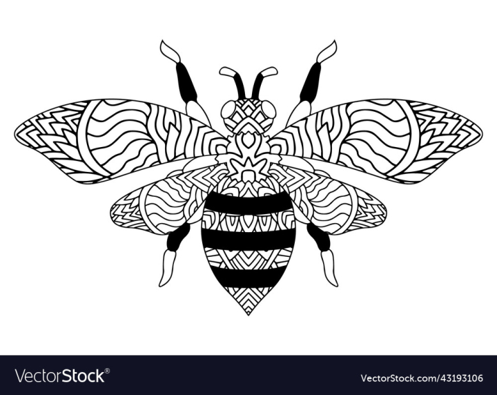 vectorstock,Vector,Drawing,Bee,Coloring,Page,Animal,Ornate,Insect,Book,Flying,Cute,Decoration,Bumblebee,Beekeeper,Art,In,Silhouette,Outline,Tattoo,Monochrome,Wildlife,Body,Part,Wing