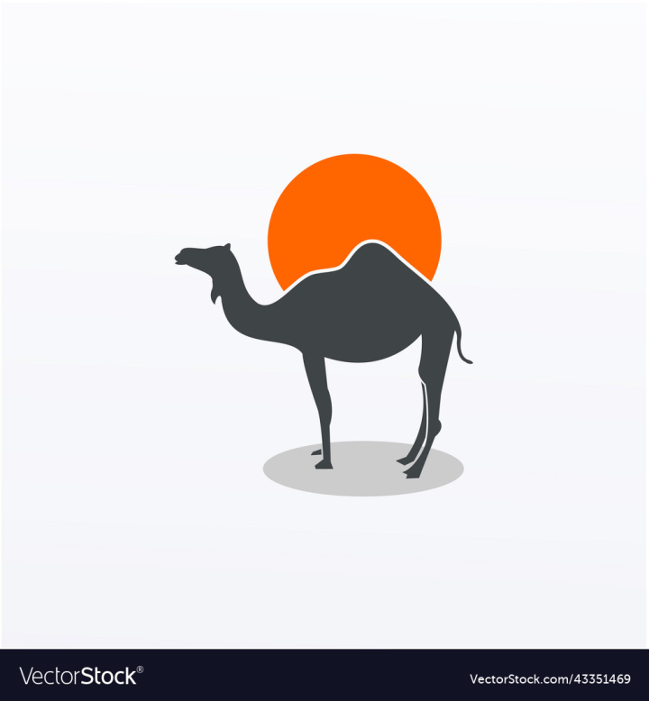 Pin on Camels