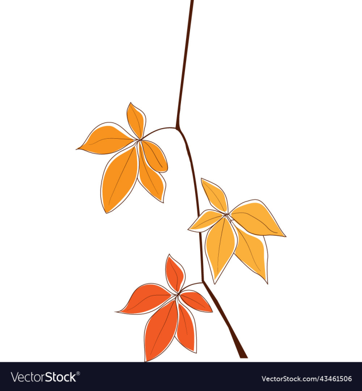 vectorstock,Leaf,Autumn,Frame,Poster,Tree,Wallpaper,Pattern,Design,Flower,Vintage,Flowers,Floral,Nature,Plant,Fall,Spring,Card,Ornament,Decoration,Vector,Illustration,Art,Background,Backgrounds,Summer,Day,Draw,Decor,Collection,Set,Botany,Line,Beautiful,Element,Home,A4,Size,Decorative,Style
