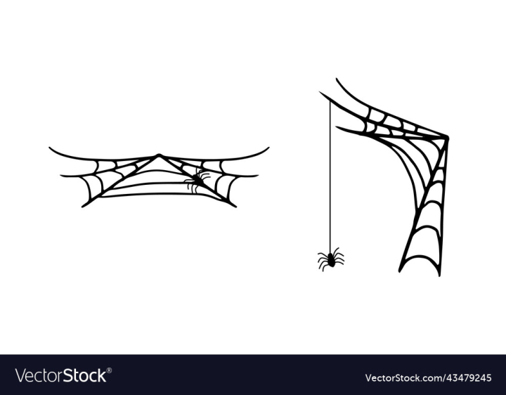 vectorstock,Halloween,Silhouette,Spider,Element,Black,White,Background,Pattern,Design,Hanging,Border,Cartoon,Web,Line,Frame,Flat,Trap,Corner,Spooky,Creepy,Set,Horror,Tattoo,Isolated,Gothic,Realistic,Net,Cobweb,Spiderweb,Vector,Fly,Insect,Scary,Witch,Symbol,Round,Decor,Cute,Decoration,Dark,Fear,Tricks,Sticky,Thread,Spells,Widow,Tangled,Horrible,Graphic,Illustration,Art