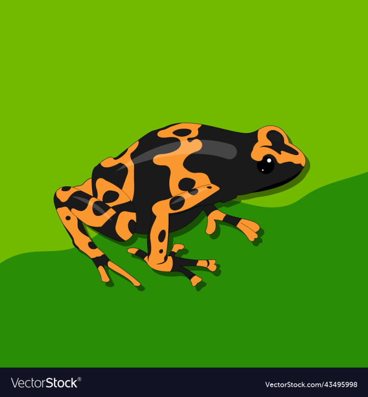 vectorstock,Design,Frog,Comic,Happy,Background,Jungle,Drawing,Pet,Jump,Fun,Animal,Green,Flat,Sweet,Water,Zoo,Wild,Symbol,Character,Cute,Small,Colorful,Funny,Children,Collection,Childish,Beautiful,Toad,Wildlife,Aquatic,Coloration,Graphic,Vector,Illustration,Art,Tree,White,Icon,Nature,Cartoon,Object,Tropical,Crawl,Reptile,Isolated,Concept,Swimming,Crocodile,Emblem,Amphibian,Zoology,Snake,Poisonous,Alligator,Salamander,Snail,Tortoise,Iguana
