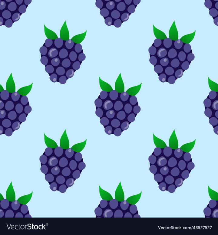 vectorstock,Pattern,Blackberry,Graphic,Background,Blue,Endless,Juice,Seamless,Design,Garden,Summer,Leaves,Leaf,Color,Food,Green,Jam,Fruit,Ornament,Fabric,Dessert,Berries,Berry,Healthy,Eating,Delicious,Diet,Ice,Cream,Print,Plant,Paper,Organic,Sweet,Texture,Lifestyle,Textile,Wrapping,Tasty,Vegetarian,Vegan,Smoothie,Vector