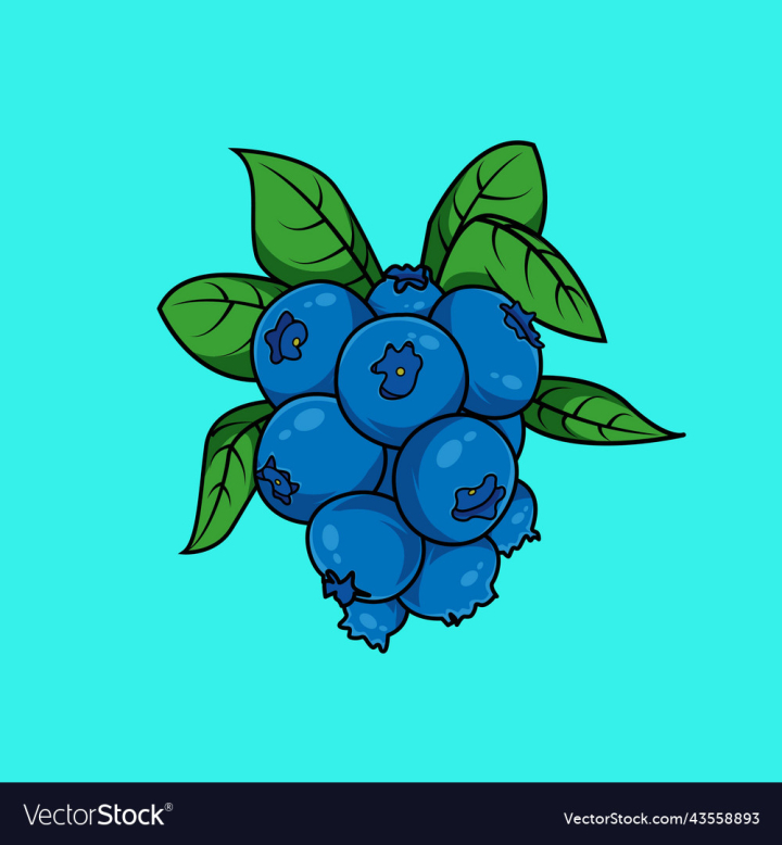 vectorstock,Blueberry,Drawing,Food,Vector,Illustration,Background,Design,Sketch,Summer,Blue,Color,Organic,Green,Fresh,Hand,Fruit,Sweet,Wild,Health,Cute,Dessert,Isolated,Berries,Berry,Healthy,Delicious,Juicy,Advertisement,Bluberry,Graphic,Illustrations,Icon,Nature,Cartoon,Template,Banner,Creative,Collection,Poster,Product,Promotion,Aesthetic,Art,Artwork