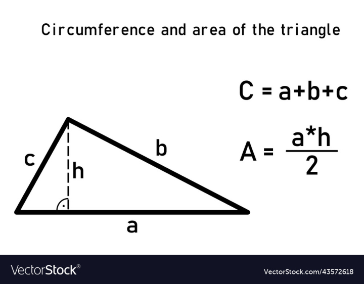 vectorstock,Area,Circumference,Triangle,Graph,Education,Chart,Equation,Black,Design,Drawing,Entertainment,Geometric,Geometry,Activity,Concept,Construction,Diagram,Calculation,Formula,Educational,Content,Graphic,Pattern,School,Line,Science,Logic,Symbol,Picture,Text,Presentation,Learn,Study,Math,Mathematics,Vector,Illustration
