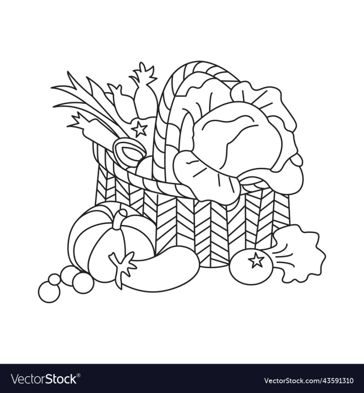 vectorstock,Vegetable,Basket,Page,Vegetables,Kdp,Interior,Design,Food,Agriculture,Green,Fruit,Farm,Element,Health,Environment,Concept,Eating,Diet,Ecology,Eco,Coloring,Book,Colouring,Nature,World,Natural,Organic,Holiday,Heart,Healthy,Vitamin,Salad,Vegetarian,Tomato,Vegan,Veggie,Vector,Illustration,Diabetes,Day