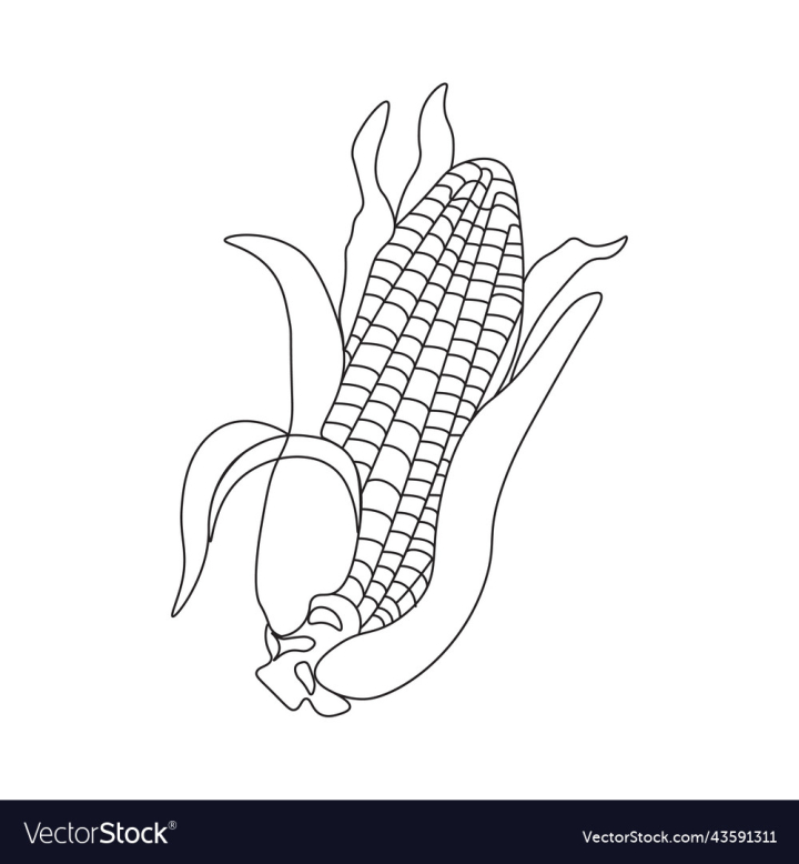 vectorstock,Corn,Design,Food,Agriculture,Green,Fruit,Farm,Vegetable,Element,Holiday,Health,Heart,Environment,Concept,Healthy,Eating,Diet,Vegetables,Ecology,Eco,Illustration,Coloring,Book,Colouring,Nature,World,Natural,Organic,Vitamin,Salad,Vegetarian,Tomato,Vegan,Veggie,Vector,Diabetes,Day