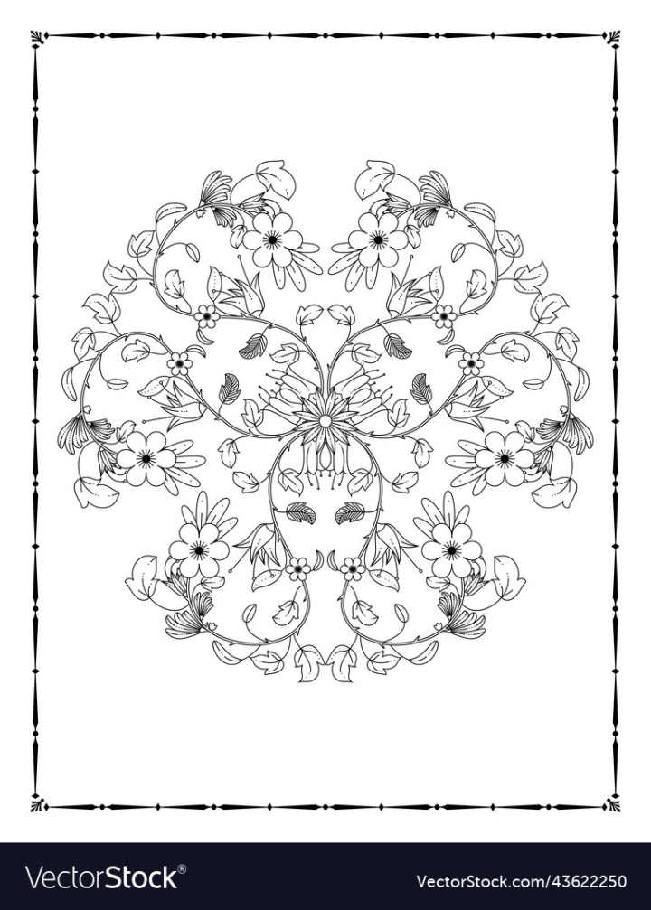 vectorstock,Floral,Coloring,Book,Books,Pages,Adult,Mandala,For,Adults,Sheets,Flower,Page