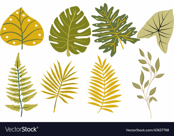 vectorstock,Tropical,Leaf,Leaves,Set