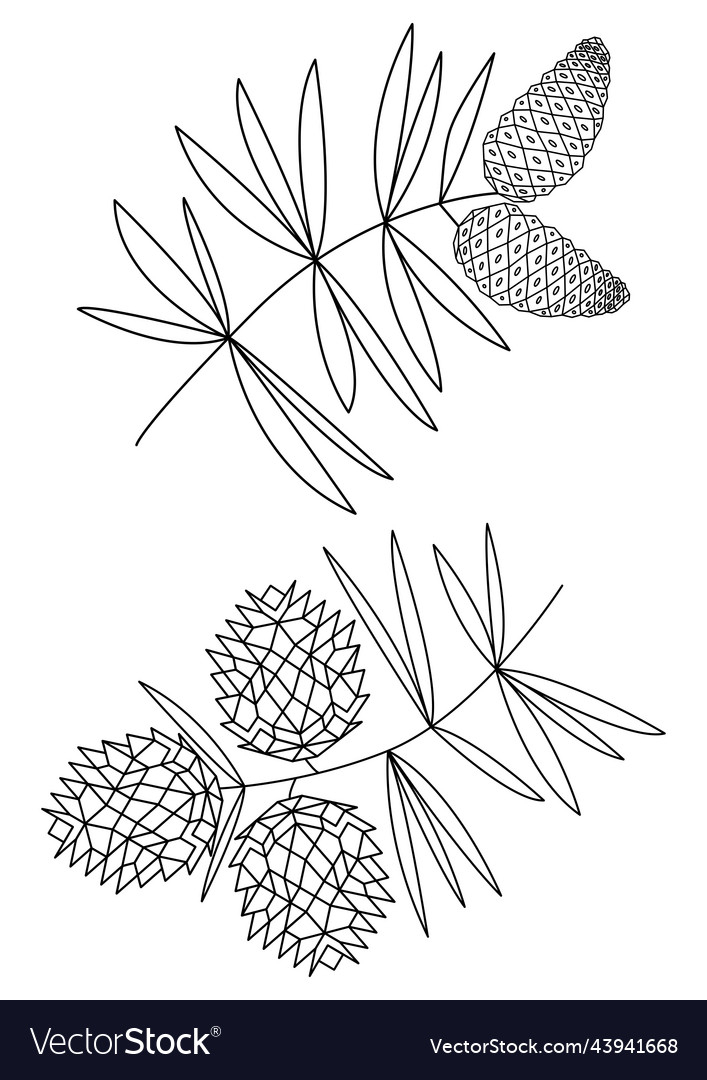 vectorstock,Cones,Design,Element,Background,Drawing,Floral,Cover,Decorative,Branch,Group,Bright,Abstract,Doodle,Cold,Gift,Christmas,Backdrop,Brushes,Botanical,Freehand,Doodles,Graphic,Vector,Illustration,Art,Tree,Eve,Wallpaper,Seamless,Sketch,Packaging,Winter,Plant,New,Holiday,Pine,Set,Year,Textile,Linear,Needles,Several,Spruce