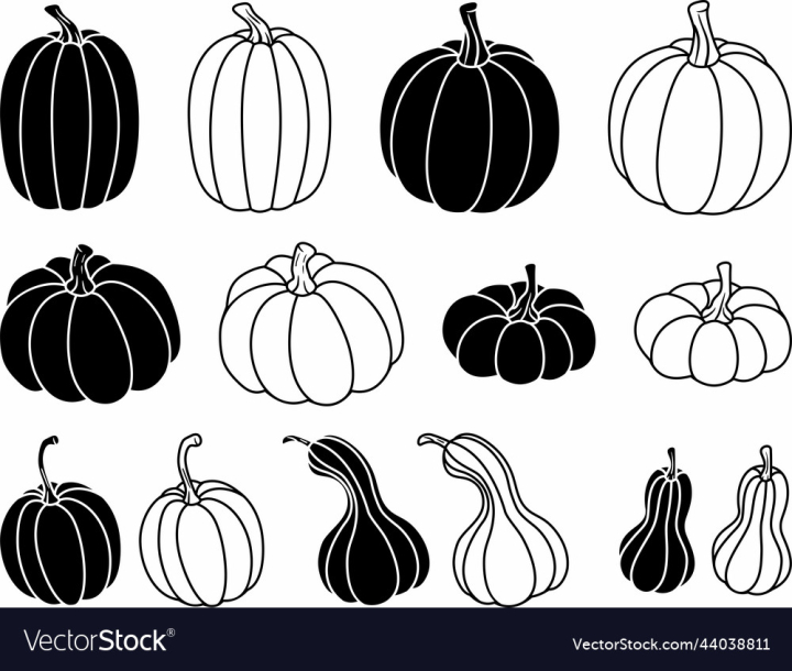 vectorstock,Pumpkins,Fall,Decor,Halloween,Icons
