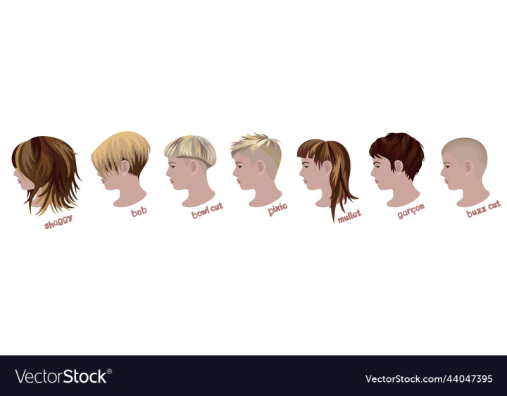 vectorstock,Collection,Isolated,Hairstyle,Person,Woman,Bob,Pixie,Shaggy,Garcon,Mullet,Vector,Hair,Design,Lady,Female,Beauty,Fashion,Model,Elegant,Head,Set,Beautiful,Attractive,Elegance,Cosmetics,Salon,Girl,Face,Style,Modern,Look,Color,Profile,Human,Glamour,Portrait,Young,Wellness,Cosmetic,Lifestyle,Trendy,Professional,Stylist,Haircut