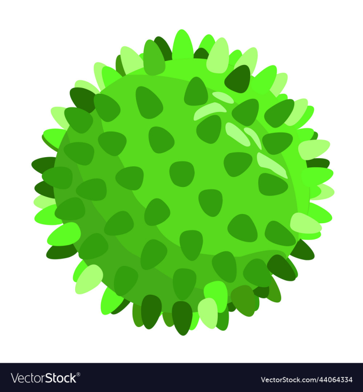 vectorstock,Ball,Pet,Green,Toy,Dog,Thorns,Relief,Bumpy,Game,Play,Roll,Massage,Round,Circle,Training