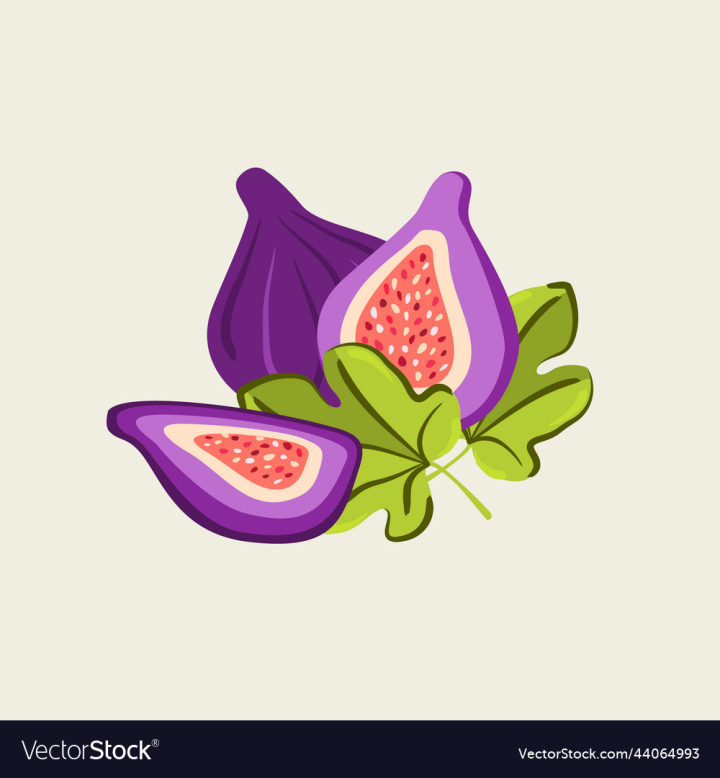 vectorstock,Background,Figs,Fig,Leaf,Whole,Vector,Red,Nature,Object,Natural,Food,Agriculture,Bright,Fruit,Sweet,Autumn,Health,Half,Harvest,Piece,Seeds,Snack,Eating,Delicious,Nutrition,Diet,Tasty,Botanical,Section,Juicy,Macro,Raw,Vegan,Sliced,Illustration,Drawing,Garden,Summer,Tropical,Purple,Organic,Green,Fresh,Gourmet,Cut,Exotic,Dessert,Freshness,Botany,Vegetarian,Slice,Mediterranean,Ripe,Antioxidant