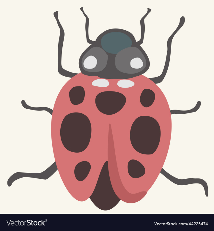vectorstock,Ladybird,Background,Nature,Isolated,Vector,Red,Cartoon,Fun,Beauty,Natural,Animal,Bright,Wing,Element,Wild,Dots,Dot,Spot,Detail,Wings,Bug,Cute,Ladybug,Beetle,Colorful,Childish,Wildlife,Closeup,Macro,Graphic,Black,Design,Lady,Summer,Spring,Butterfly,Fly,Insect,Biology,Small,Funny,Little,Fauna,Beautiful,Entomology,Coleoptera,Coccinella,Illustration