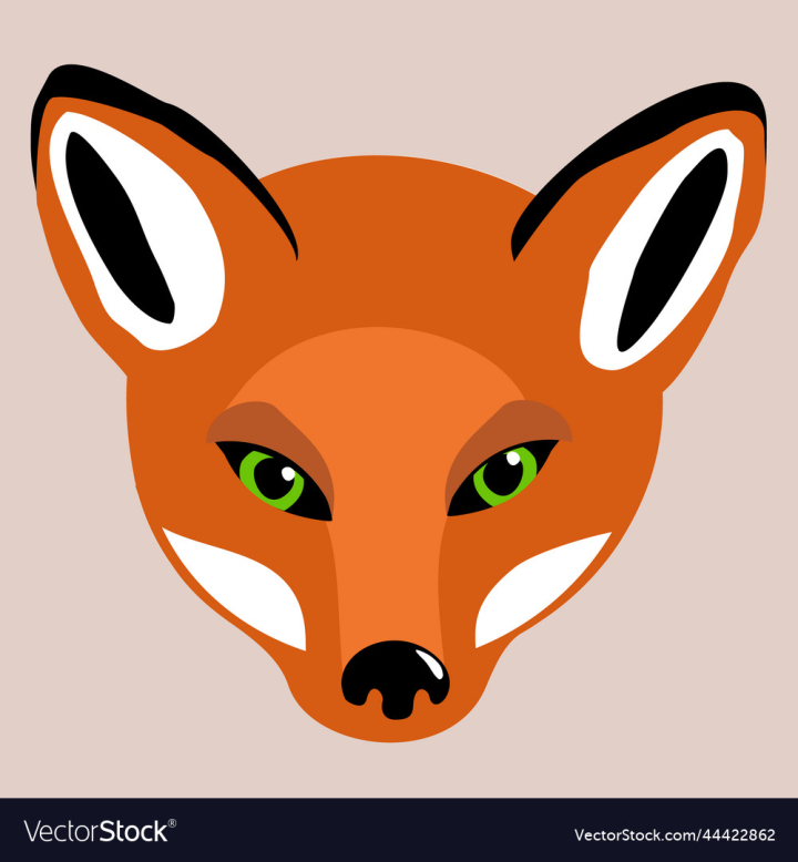 vectorstock,Red,Head,Isolated,Fox,Cartoon,Animal,Bright,Cute,Vector,Illustration,Background,Style,Fun,Color,Orange,Hunt,Zoo,Wild,Young,Clever,Beautiful,Canine,Mammal,Hunter,Adorable,Predator,Wildlife,Vulpes,Forest,White,Dog,Design,Tail,Brown,Character,Creature,Beast,Hunting,Fauna,Cheerful,Moustache,Furry,Countryside,Fluffy,Green,Eye
