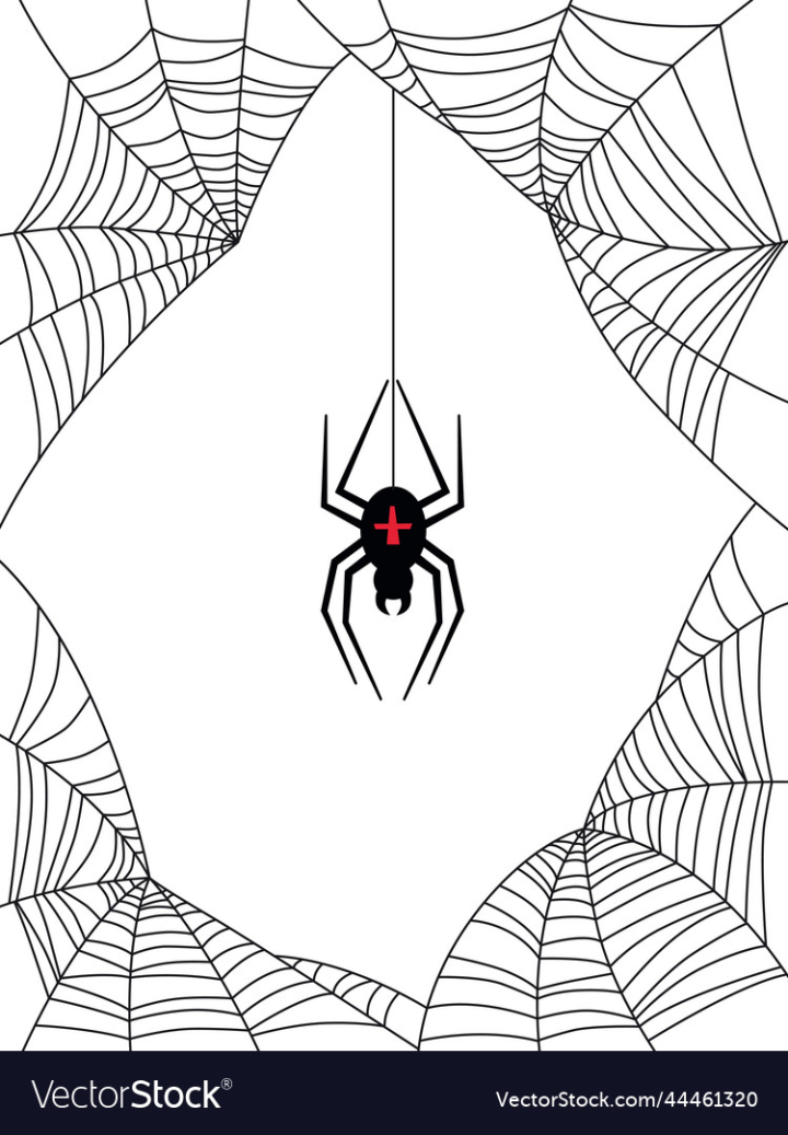 vectorstock,Background,White,Web,Spider,Scary,Halloween,Decor,Texture,Design,Sketch,Silhouettes,Line,Frame,Insect,Danger,Creepy,Isolated,Poster,Dangerous,Venom,Spiderweb,Vector,Post,Card,Black,Nature,Hanging,Silhouette,Element,Backdrop,Spooky,Horror,Fear,Gothic,Arachnid,Cobweb,Illustration