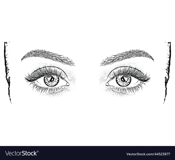 vectorstock,Eyes,Female,Woman,Girl,Vector