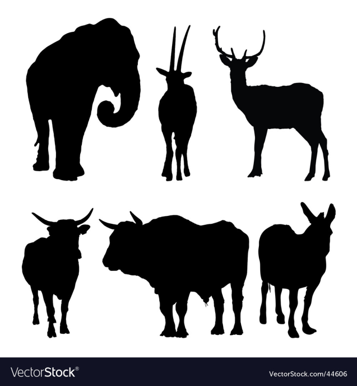 vectorstock,Animals,Deer,Wild,Elephant,Buck,Donkey,Bull,Buffalo,Stag