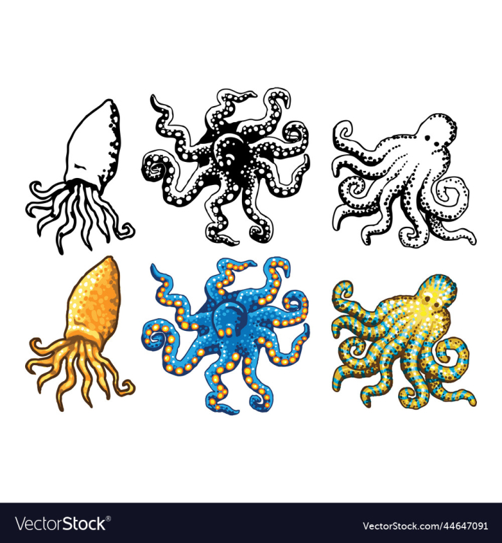 vectorstock,Cartoon,Set,Octopus,Icon,Vector,Logo,Design,Simple,Animal,Flat,Collection,Illustration,Squid