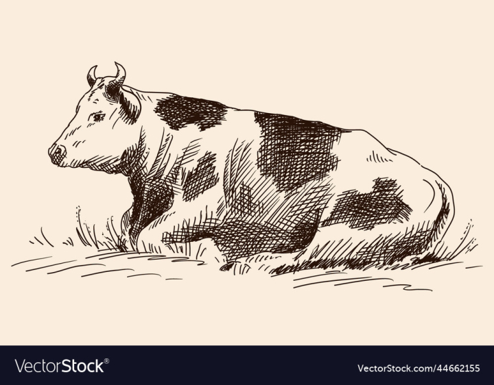 vectorstock,Cow,Pasture,Animal,Sketch,Vintage,Nature,Grass,Natural,Milk,Food,Drink,Field,Beef,Farming,Dairy,Agriculture,Organic,Fresh,Rest,Full,Farm,Meadow,Health,Pencil,Cattle,Lie,Mammal,Rural,Healthy,Calcium,Beverage,Countryside,Rustic,Farmer,Drawing,Line,Green,Cheese,Cream,Ranch,Cowboy,Domestic,Shepherd,Closeup,Hay,Livestock,Draft,Straw,Cottage,Sour