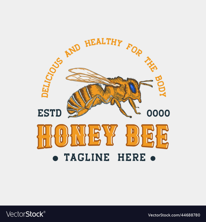 vectorstock,Bee,Honey,Hand,Drawn,Healthy,Retro,Template,Vintage,Drawing,Sketch,Insect,Bumblebee,Food,Organic,Logo,Label,Product,Sticker