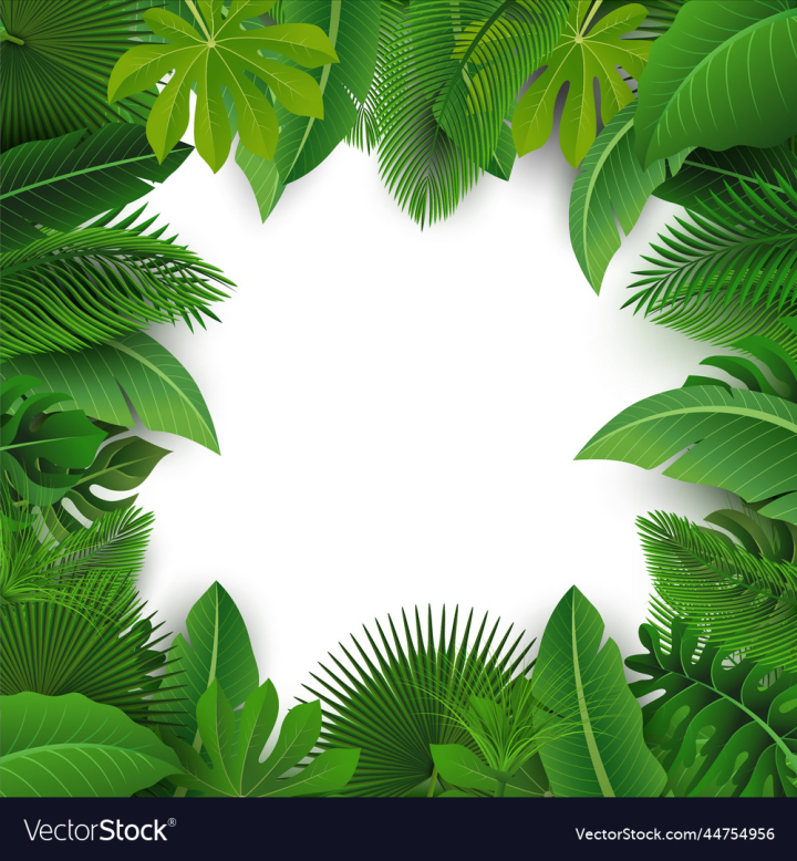 vectorstock,Leaves,Leaf,Jungle,Palm,Background,Text,Forest,Design,Beach,Summer,Floral,Nature,Label,Grass,Green,Season,Banana,Exotic,Coconut,Board,Holiday,Detail,Invitation,Decoration,Frond,Beautiful,Advertisement,Alocasia,Areca,Illustration,Tree,Party,Travel,Plant,Spring,Sign,Natural,Paradise,Signboard,Papyrus,Philodendron