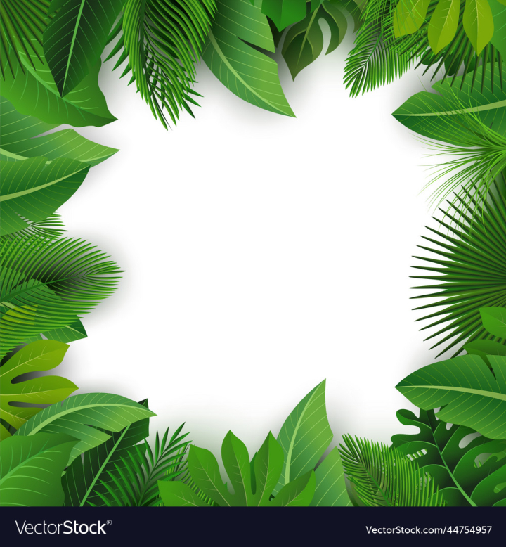 vectorstock,Background,Text,Leaf,Forest,Design,Jungle,Beach,Summer,Floral,Nature,Label,Grass,Green,Season,Banana,Exotic,Coconut,Board,Holiday,Detail,Invitation,Decoration,Frond,Beautiful,Advertisement,Alocasia,Areca,Illustration,Tree,Party,Travel,Plant,Spring,Sign,Natural,Paradise,Palm,Signboard,Papyrus,Philodendron
