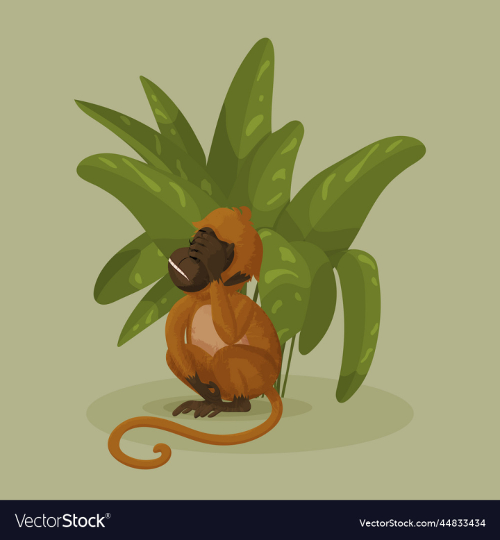 vectorstock,Jungle,Leaves,Monkey,Facepalm,Nature,Animal,Banana,Vector,Face,Floral,Hand,Sticker,Palm,Emotion,Disappointed,Shame,Illustration,Background,Icon,Sitting,Character,Isolated,Gesture,Disappointment,Frustration,Problem,Fail,Emotional,Upset