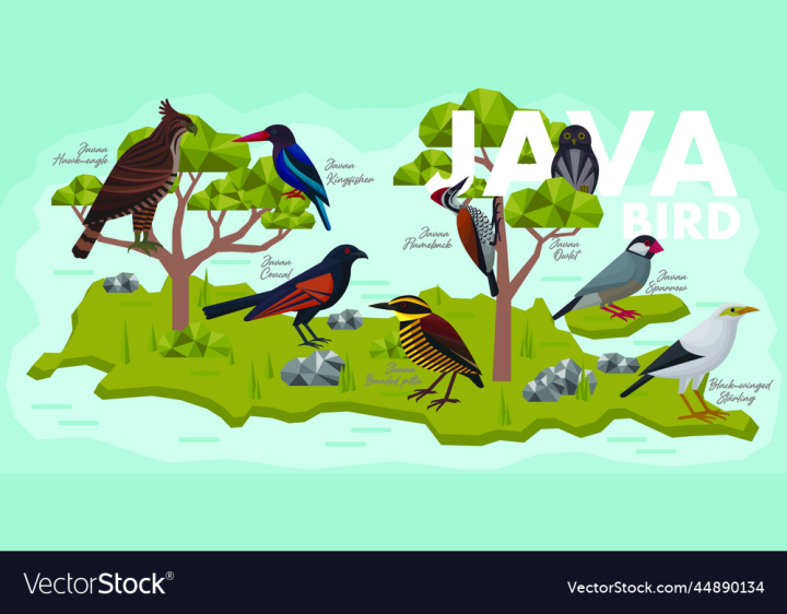 vectorstock,Java,Bird,Nature,Animal,Tree,Tropical,Island,Exotic,Indonesia,Birdwatching,Endemic,Illustration,Art,Sparrow,Eagle,Biology,Wild,Ecology,Woodpecker,Kingfisher,Finch,Myna,Pitta,Vector
