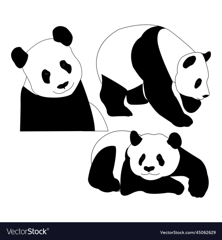 vectorstock,Set,Icon,Panda,Vector,Logo,Simple,Animal,Flat,Illustration,Clip,Art,Design,Cartoon,Collection