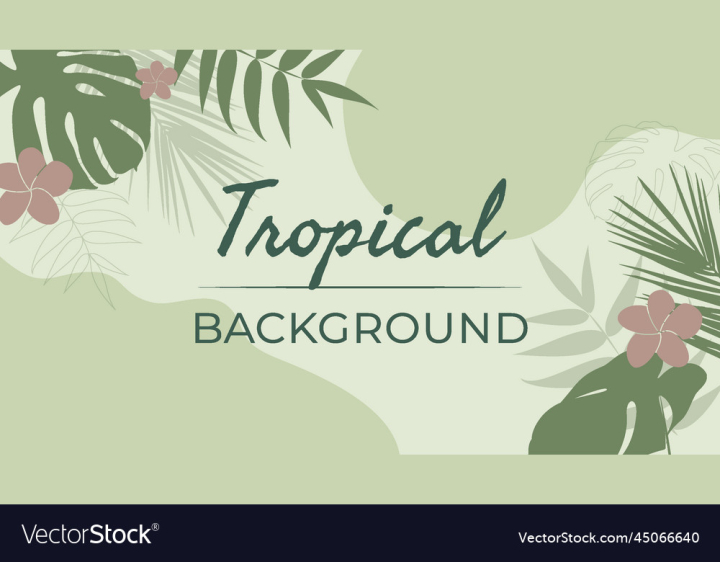 vectorstock,Background,Tropical,Flower,Leaves,Leaf,Green,Pattern,Summer