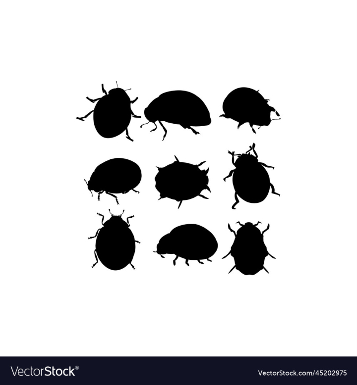 vectorstock,Animal,Design,Insect,Ladybug,Set,Ladybugs,Black,Silhouette,Fly,Fresh,Flat,Abstract,Dots,Character,Bug,Cute,Beetle,Funny,Isolated,Collage,Wildlife,Graphic,Illustration,Art,Love,Lady,Summer,Nature,Spring,Natural,Little,Ladybird,Vector
