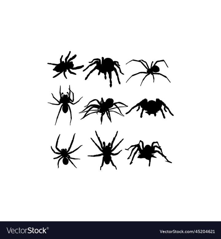 vectorstock,Silhouette,Design,Spider,Collection,Set,Animal,Animals,Black,Group,Bite,Insect,Danger,Bug,Creepy,Insects,Horror,Isolated,Back,Arachnid,Wildlife,Deadly,Highly,Arachnophobia,Graphic,Illustration,Nature,Web,Warning,Spooky,Venomous,Mosquito,Tarantula,Venom,Widow,Phobia,Spidery,Vector,Red