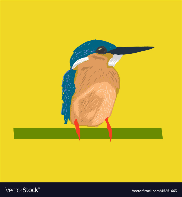 vectorstock,Bird,Birds,Design,Kingfisher,Animal,Kingfishers,Black,Background,Blue,Feather,Branch,Color,Field,Brown,Green,Geometric,Beak,Cute,Colorful,Fauna,Isolated,Environment,Beautiful,Gorgeous,Wildlife,Closeup,Avian,Kerala,Birdwatching,Goa,Illustration,White,Nature,Park,Tropical,Natural,Yellow,Wing,Wild,Thailand,Wings,Small,Plumage,Perching,Ornithology,Water