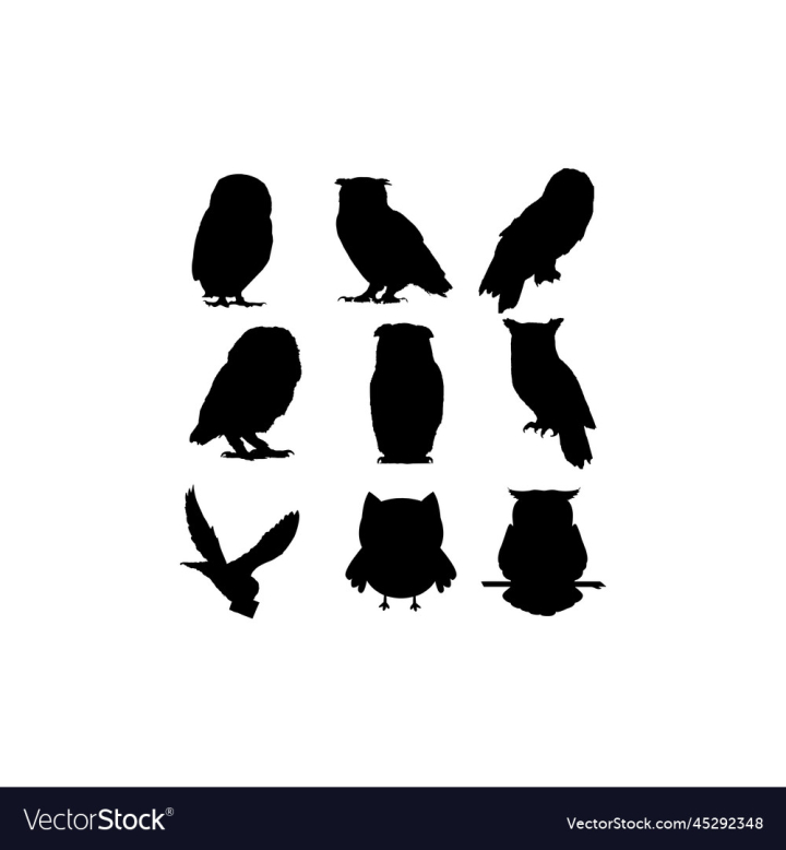 vectorstock,Animal,Design,Set,Owl,Owls,Bird,Forest,Black,Drawing,Silhouette,Look,Eyes,Domestic,Flying,Beak,Collection,Isolated,Hunter,Wildlife,Carnivore,Gesturing,Feathered,Feathers,Graphic,Illustration,Art,Outline,Nature,Sitting,Wing,Zoo,Wild,Symbol,Predator,Winged,Vector