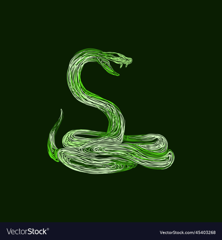 vectorstock,Animal,Design,Snake,Viper,Abstract,Drawing,Modern,Nature,Green,Element,Character,Creative,Creepy,Isolated,Cobra,Dangerous,Anaconda,Graphic,Illustration,Art,Style,Silhouette,Symbol,Reptile,Python,Serpent,Venomous,Venom,Occult,Occultism,Vector