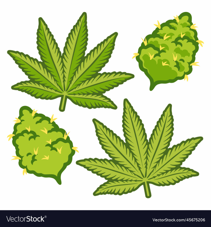 vectorstock,Design,Cannabis,Floral,Bud,Medical,Vector,Summer,Nature,Grass,Leaf,Sign,Agriculture,Organic,Green,Weed,Abstract,Medicine,Pot,Health,Symbol,Smoke,Growth,Herb,Herbal,Hemp,Thc,Ganja,Graphic,Background,Drawing,Icon,Plant,Spring,Natural,Shape,Element,Decoration,Legal,Isolated,Concept,Eco,Growing,Narcotic,Medicinal,Hash,Hashish,Dispensary,Illustration