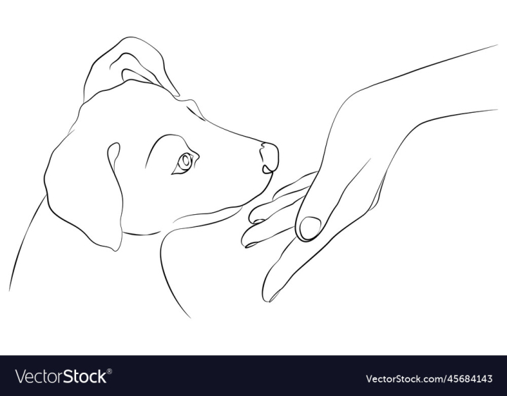 vectorstock,Dog,Hand,Human,Puppy,Muzzle,Lines,Girl,Face,Style,Drawing,Person,Pet,Woman,Cartoon,Silhouette,Simple,Line,Animal,Domestic,Cute,Creative,Playing,One,Tattoo,Canine,Single,Friend,Linear,Adorable,Friendship,Simplicity,Minimal,Doggy,Pedigree,Minimalism,Owner,Veterinary,Art,Drawn,Drawings,Black,White,Background,Sketch,Outline,Doodle,Contour,Graphic,Vector,Illustration